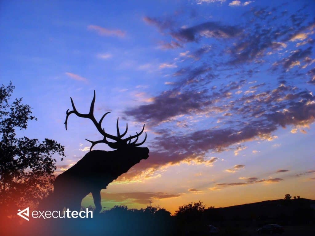 IT outsourcing in Elk Grove