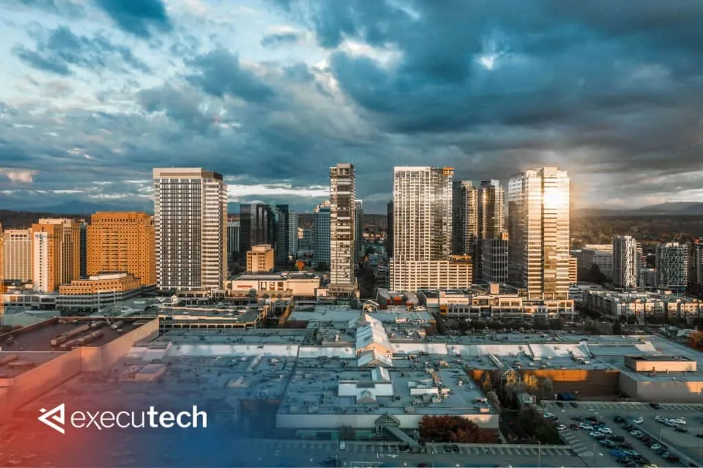 IT Consulting in Bellevue