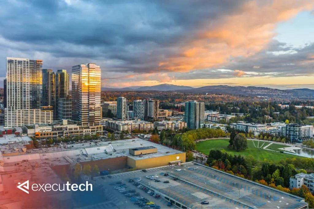 IT Consulting Services in Bellevue